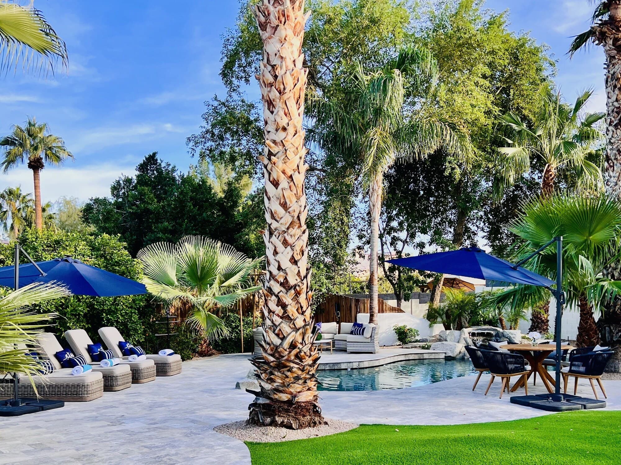 Pool deck loungers under the palms